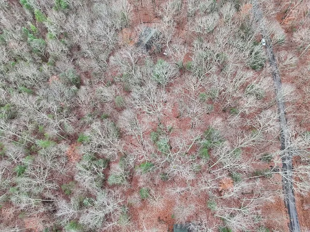 a close up of a field