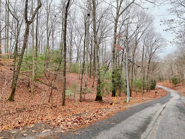 a row of trees with sign board