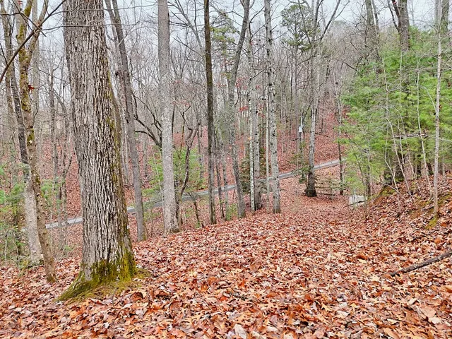 a view of a backyard of the house