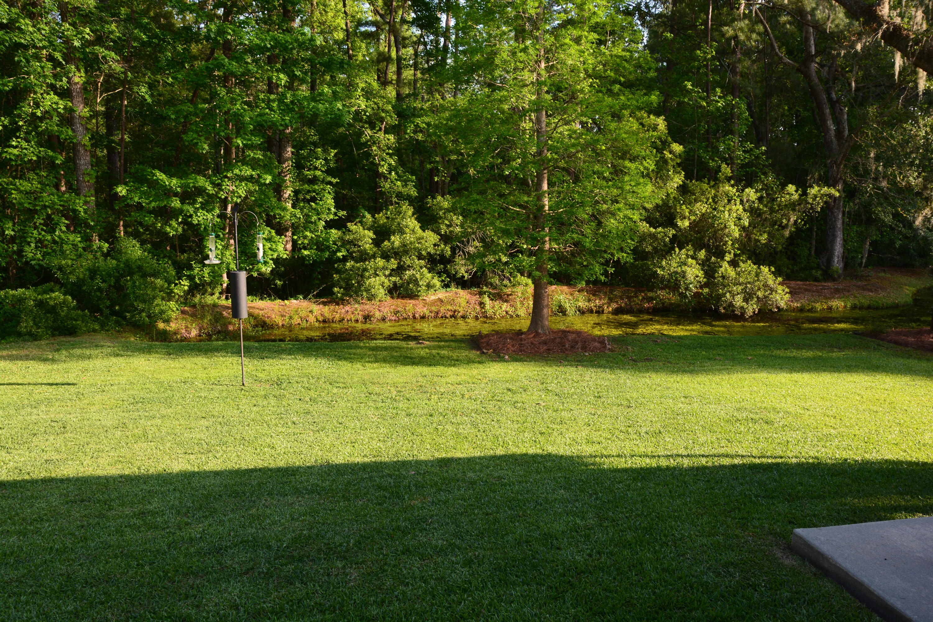 152 Harvest Moon Road Moncks Corner, SC 29461 - Photo 28 of 28 Pond