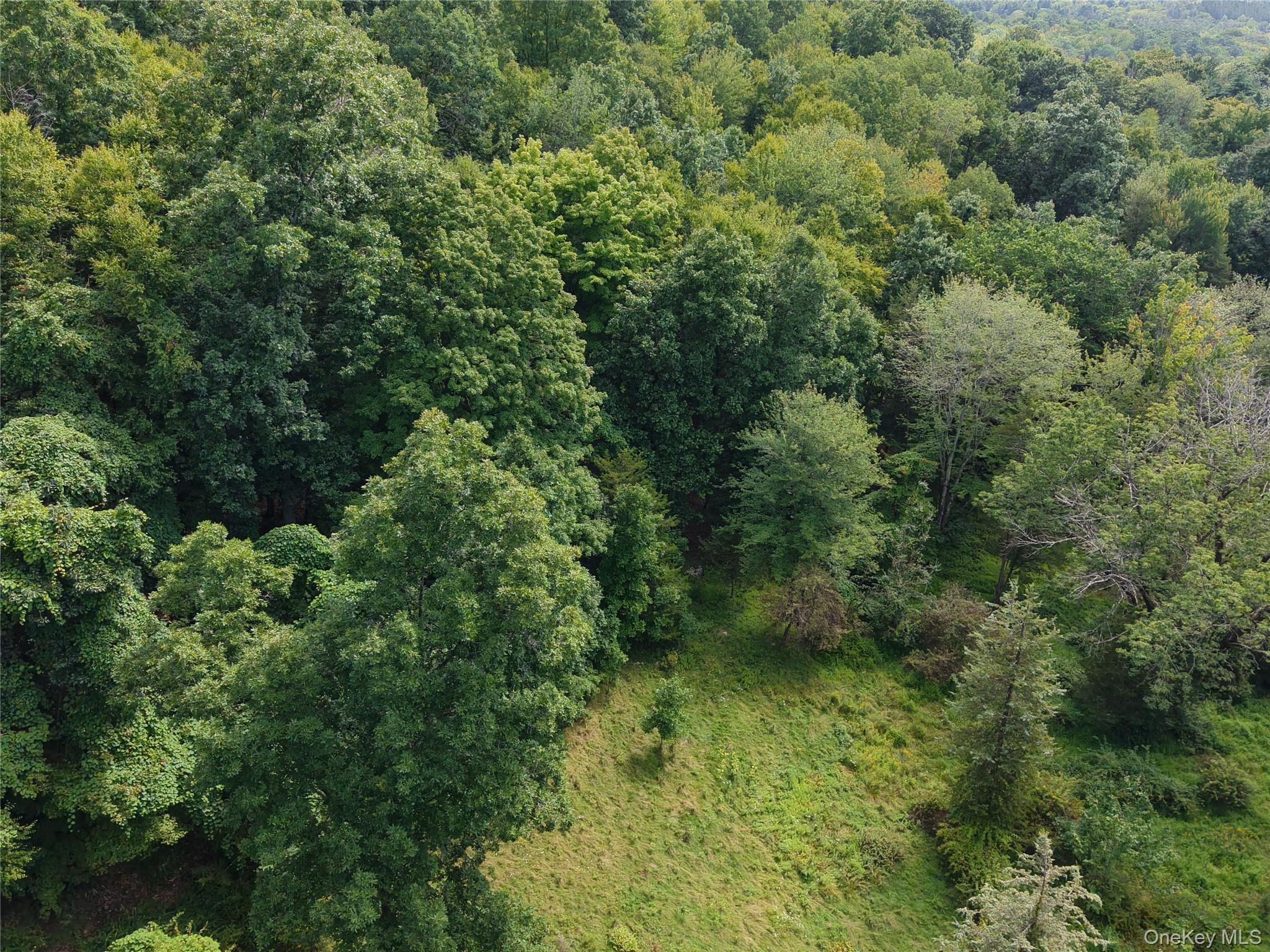 Twinshaven Road Neversink, NY 12765 - Photo 17 of 20 Gallery Image 17