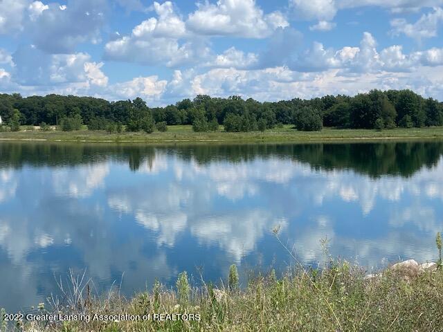 0 Harmon Road Ovid, MI 48866 - Photo 2 of 34 IMG_7793