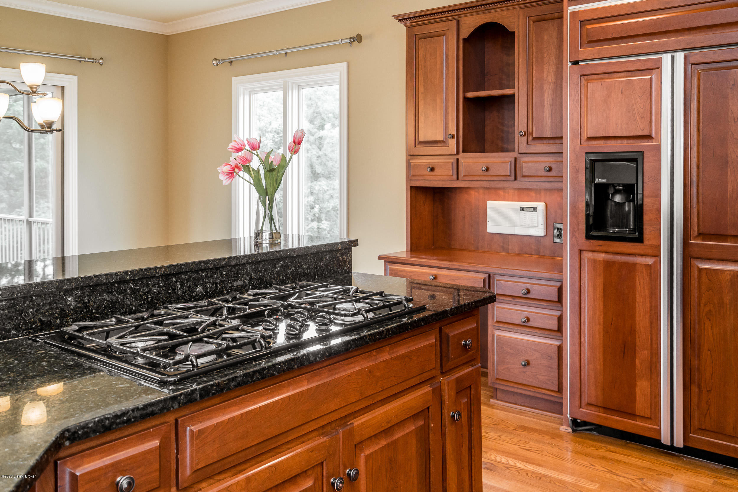 13323 Ridgemoor Drive Prospect, KY 40059 - Photo 17 of 73 gas range