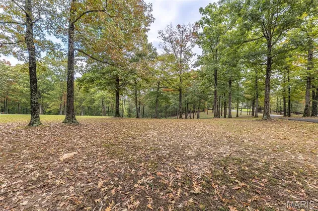 $775,000 | 483 Red Brick Lane, Wappapello, MO 63966