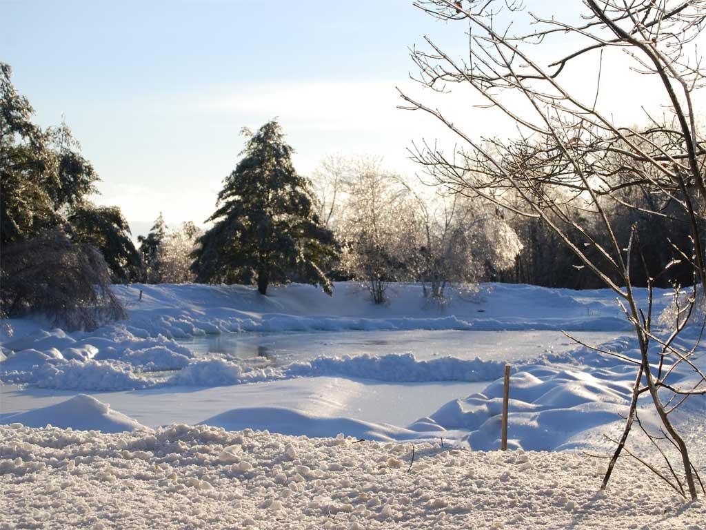 516 Steele Hill Road, Unit WEEK #110 & 51 AND 52 Sanbornton, NH 03269 - Photo 24 of 29