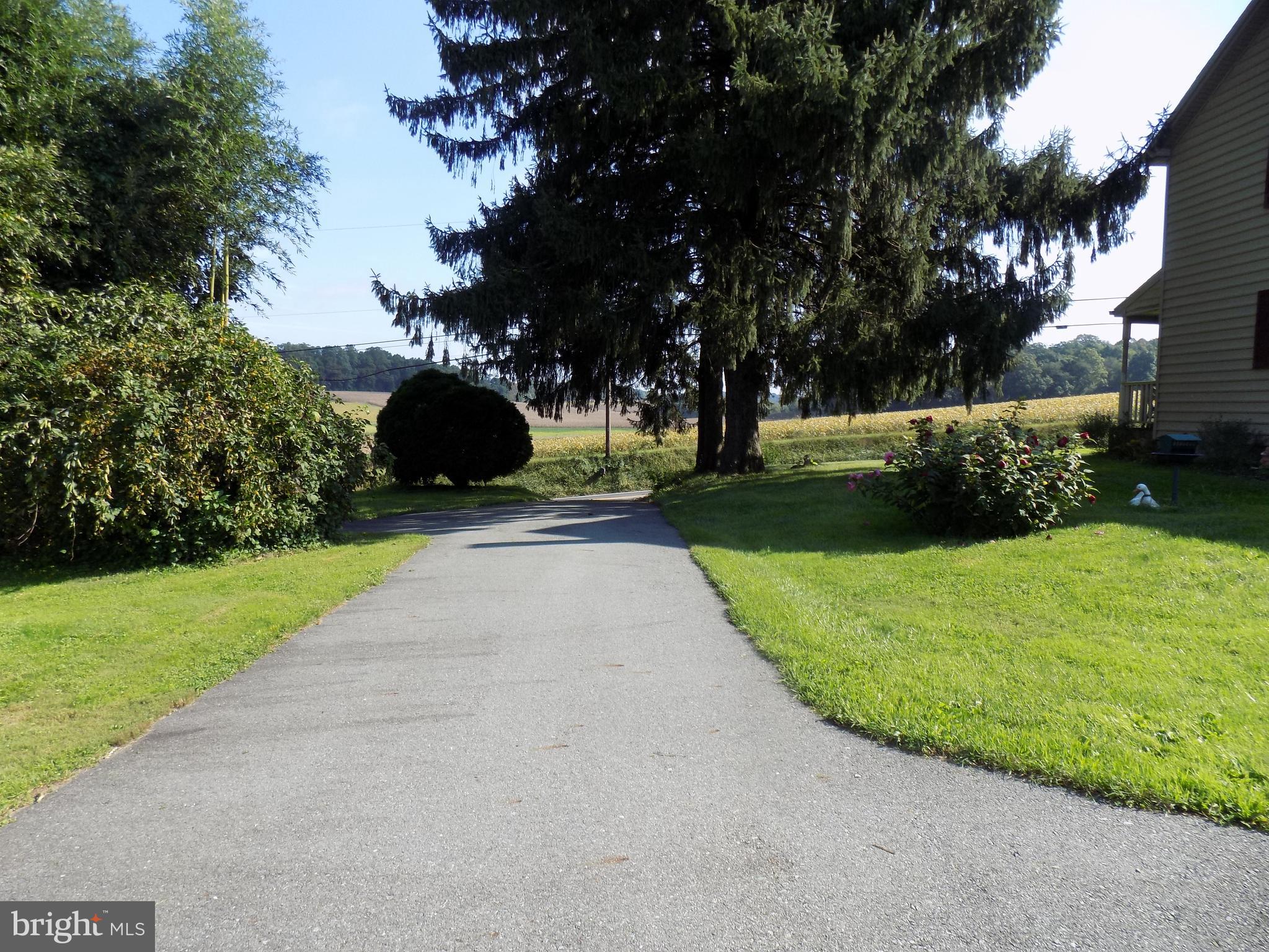 222 Red Hill Road Pequea, PA 17565 - Photo 14 of 23 Driveway