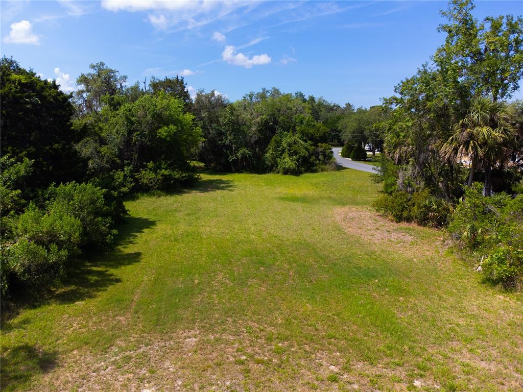 4540 South Sawgrass Circle Homosassa, FL 34448 - Photo 21 of 22 a view of an ocean yard and mountain view in back