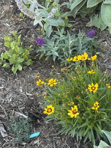 $1,275,000 | 131 Farm Pond Lane, Durango, CO 81301