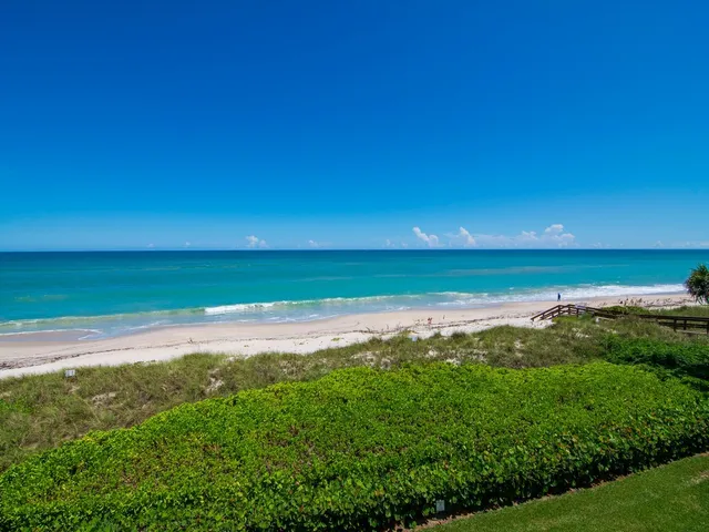 a view of an ocean from a yard