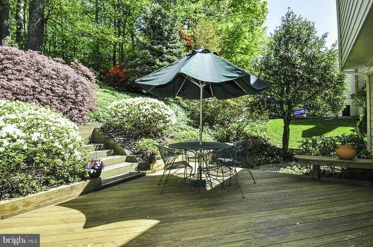 10149 Red Spruce Road Fairfax, VA 22032 - Photo 23 of 24 Exterior (Rear)