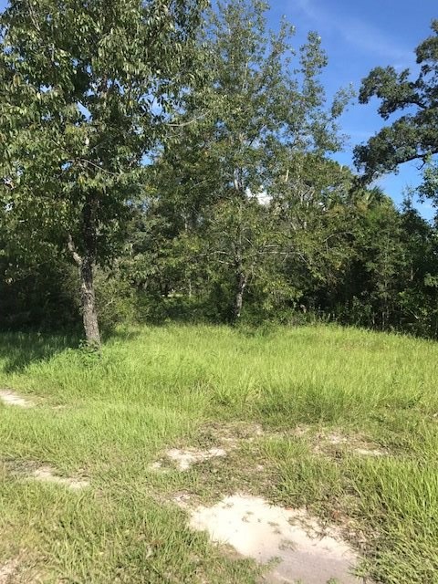 0 Jody Morgan Road, Unit LOT Perry, FL 32348 - Photo 1 of 3 Gallery Image 1