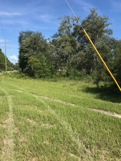 0 Jody Morgan Road, Unit LOT Perry, FL 32348 - Photo 2 of 3 Gallery Image 2