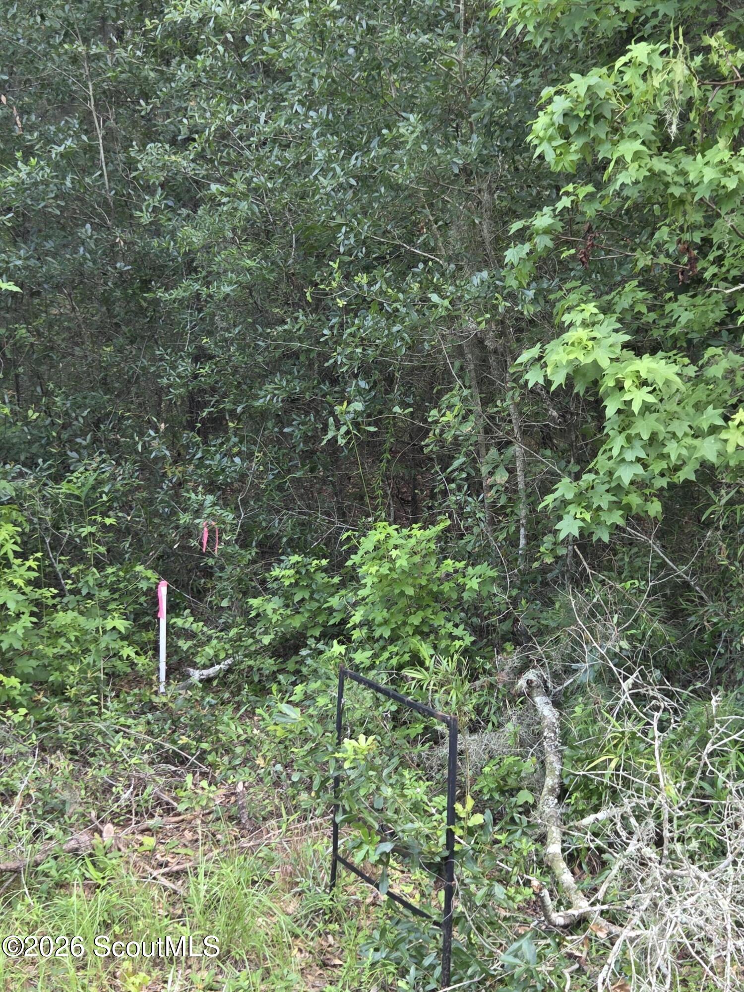2.83-ac Young Man Road Northeast Townsend, GA 31331 - Photo 4 of 7 20260623_141004