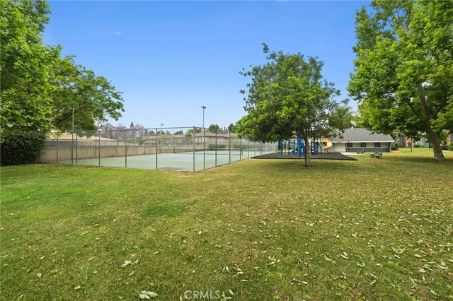 a view of a park with large trees