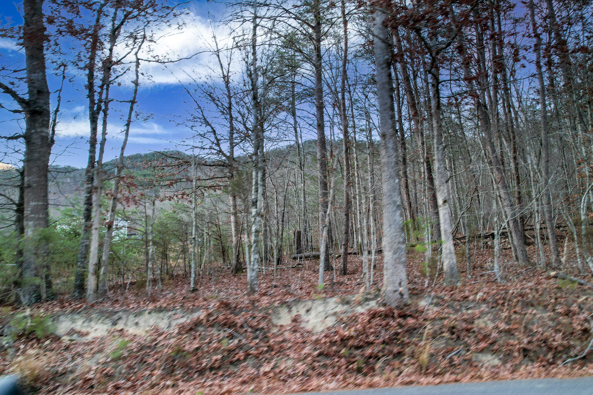 DJI_0750-Edit