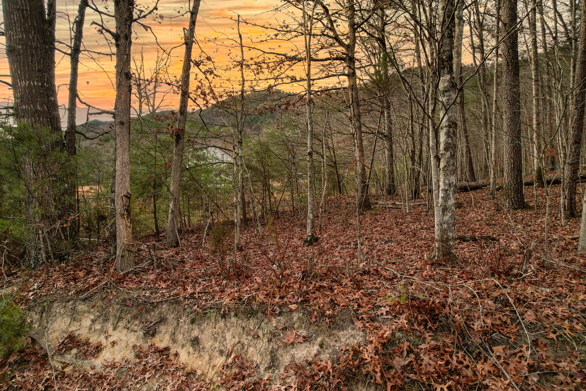 223 Snowflake Road, Unit 3 Surgoinsville, TN 37873 - Photo 11 of 12 DJI_0777-Edit