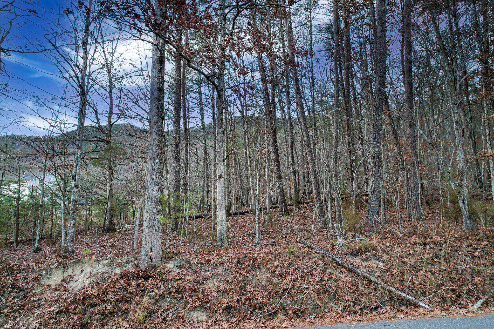 DJI_0751-Edit