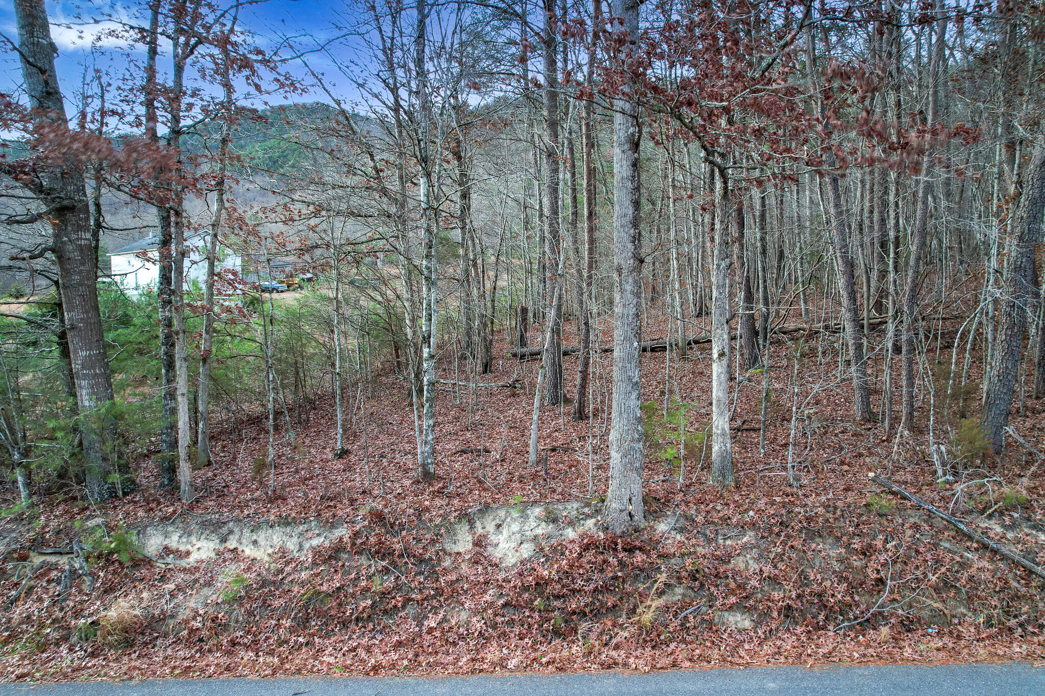 223 Snowflake Road, Unit 3 Surgoinsville, TN 37873 - Photo 8 of 12 DJI_0774-Edit