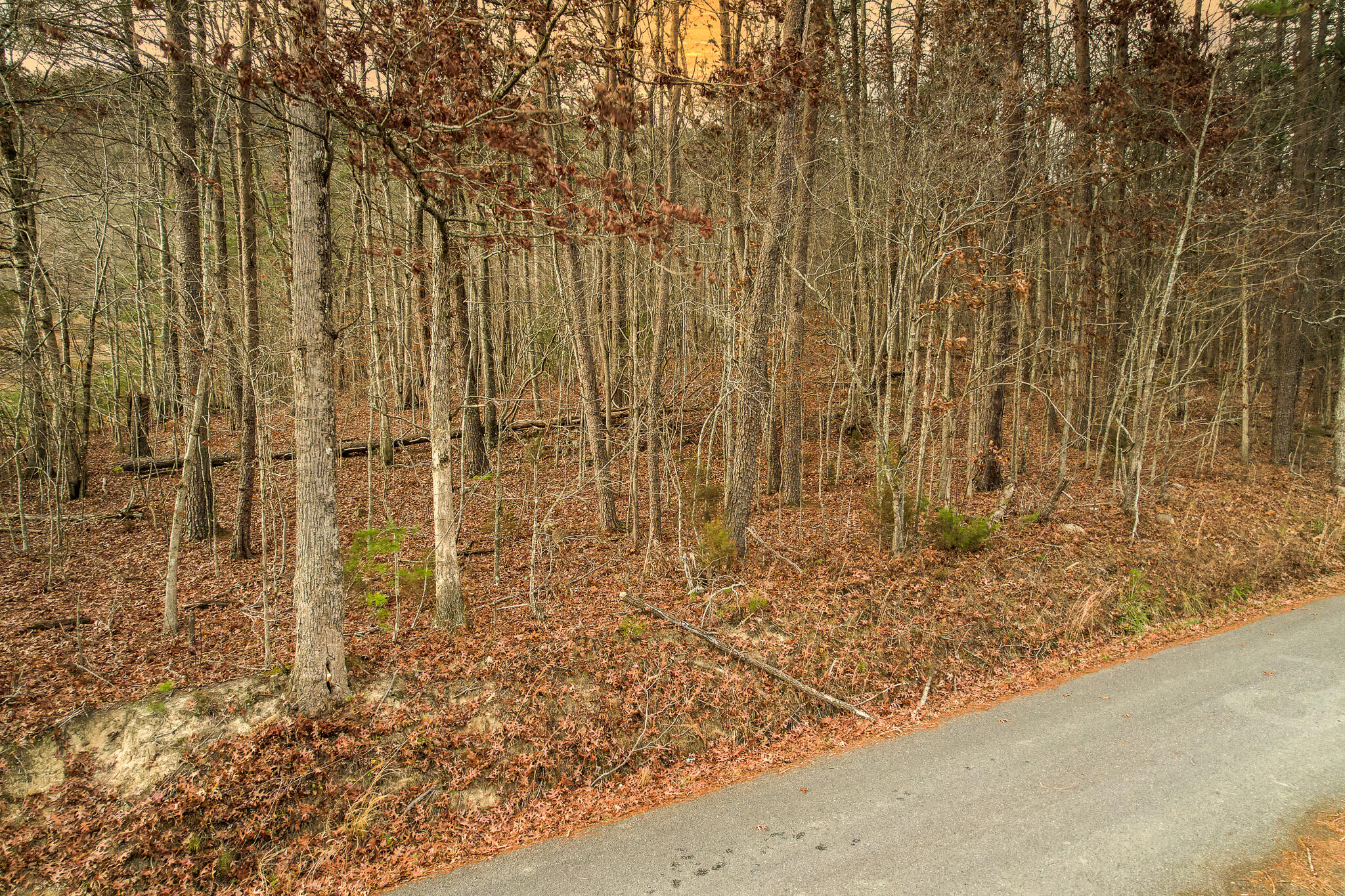 223 Snowflake Road, Unit 3 Surgoinsville, TN 37873 - Photo 9 of 12 DJI_0775-Edit