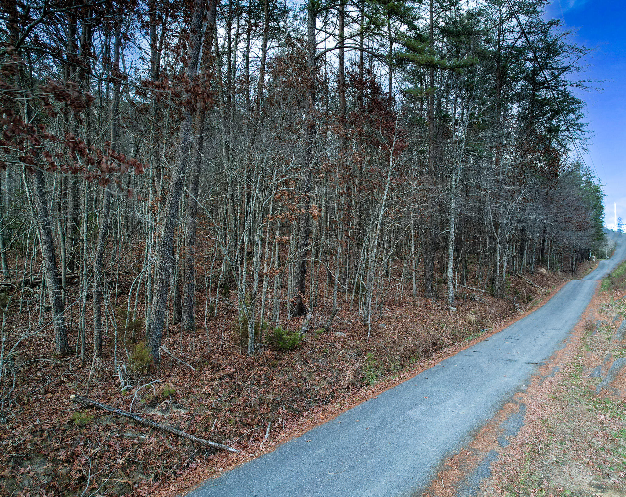 223 Snowflake Road, Unit 3 Surgoinsville, TN 37873 - Photo 10 of 12 DJI_0776-Edit