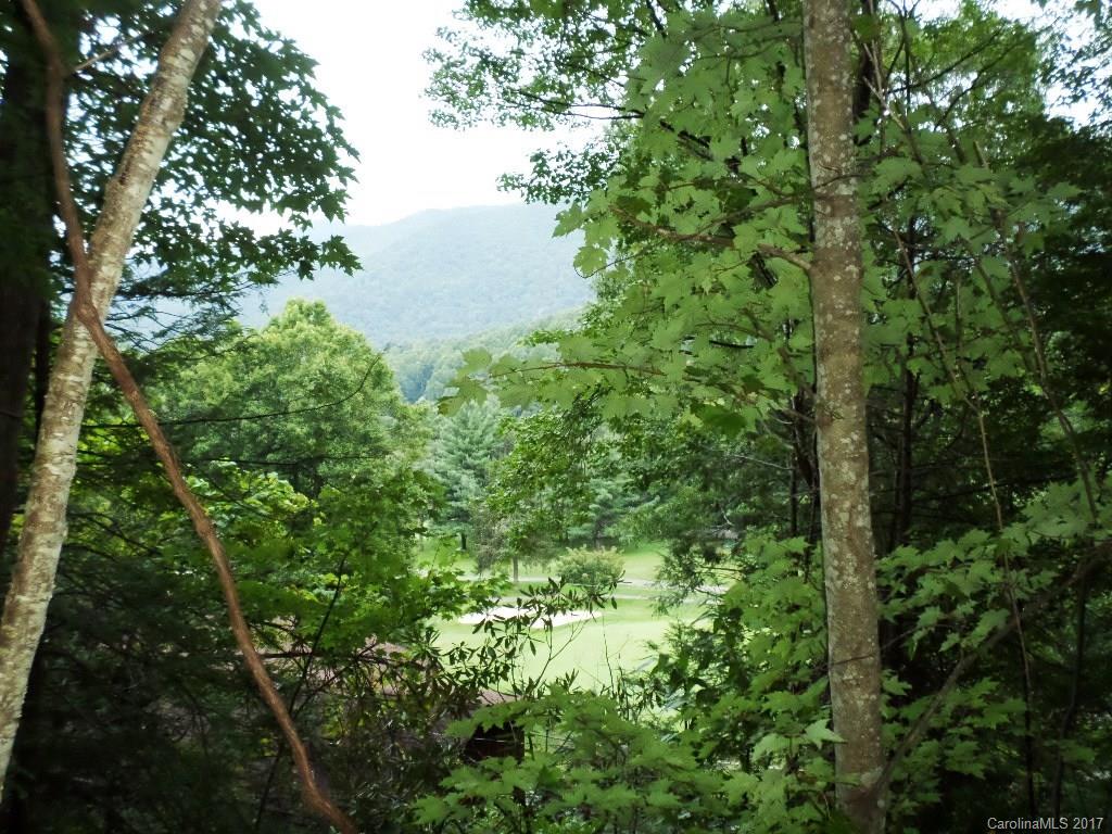 0 Old Still Road Maggie Valley, NC 28751 - Photo 13 of 20 Gallery Image 13