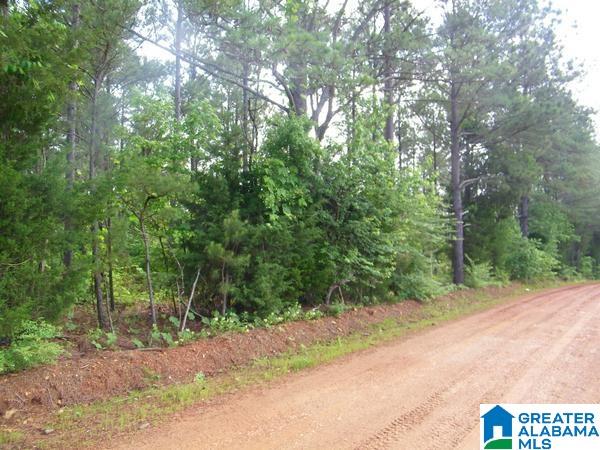 519 County Road, Unit 98 Woodland, AL 36280 - Photo 2 of 7