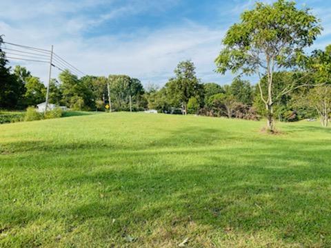 South Ridge View Road Luttrell, TN 37779 - Photo 1 of 4 IMG_1039