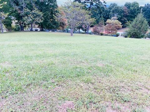 South Ridge View Road Luttrell, TN 37779 - Photo 3 of 4 IMG_1054