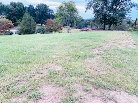 South Ridge View Road Luttrell, TN 37779 - Photo 4 of 4 IMG_1055