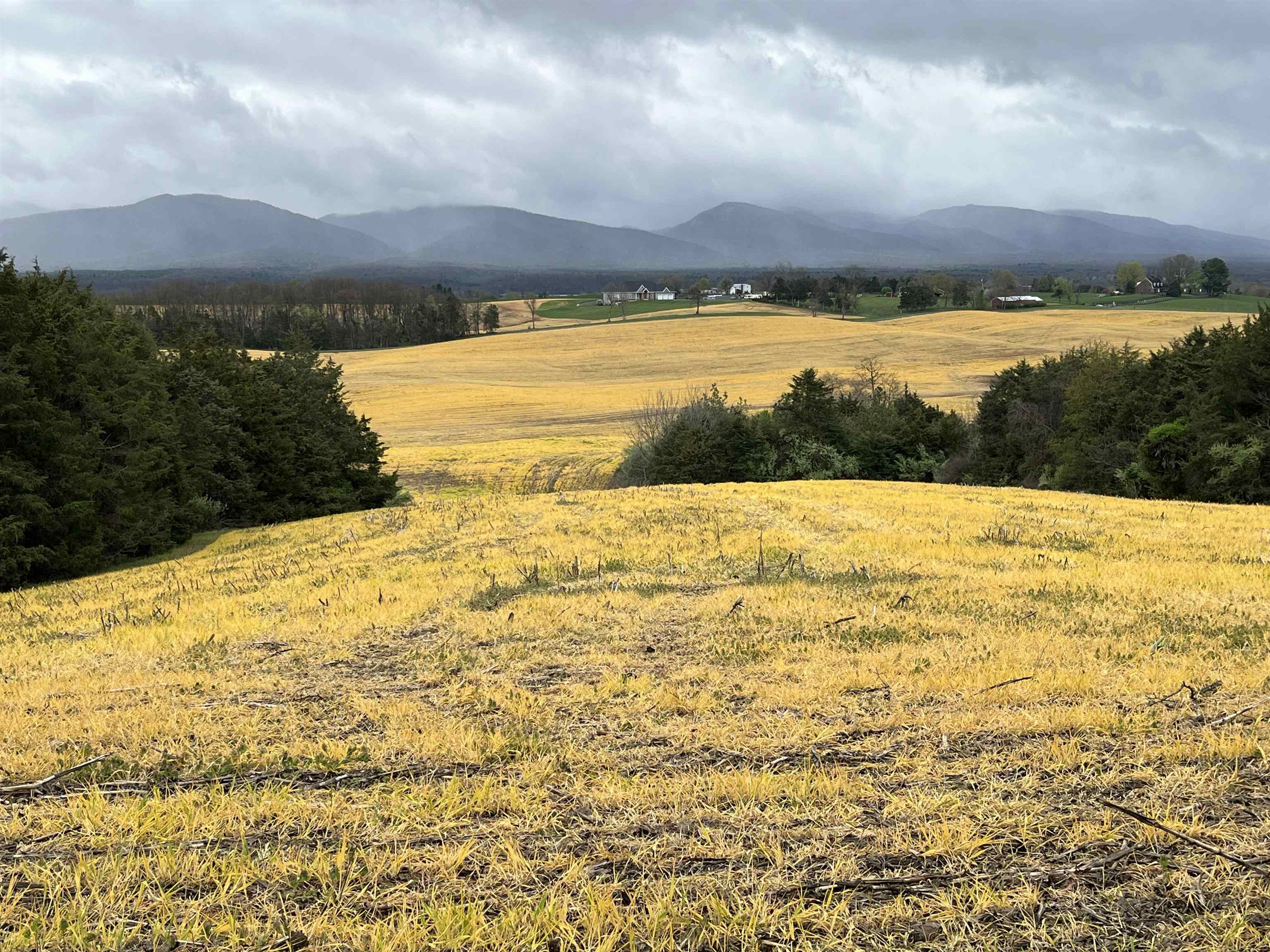 Tbd Doe Hill Road Port Republic, VA 24471 - Photo 11 of 13 a view of an ocean from a yard