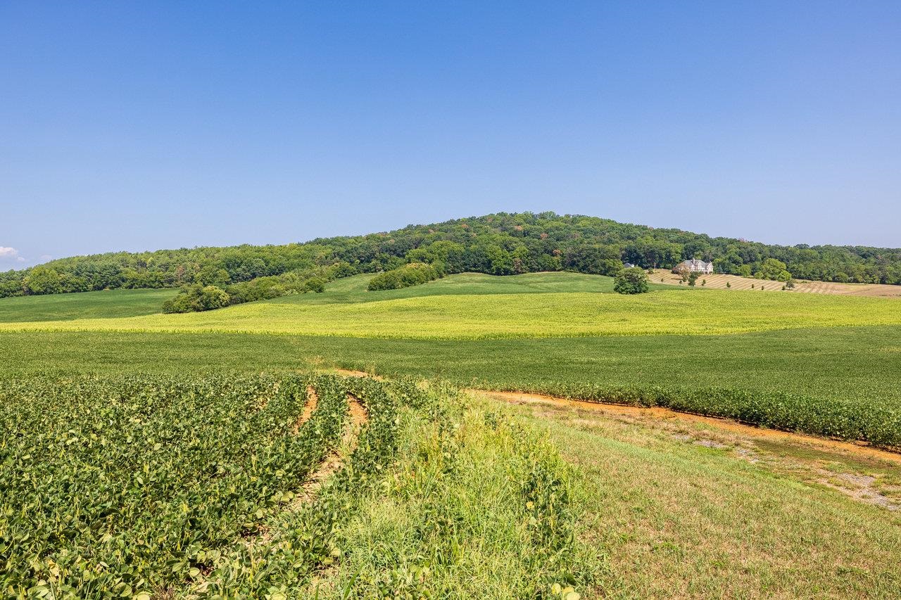 Tbd Doe Hill Road Port Republic, VA 24471 - Photo 13 of 13 a view of an ocean from a yard