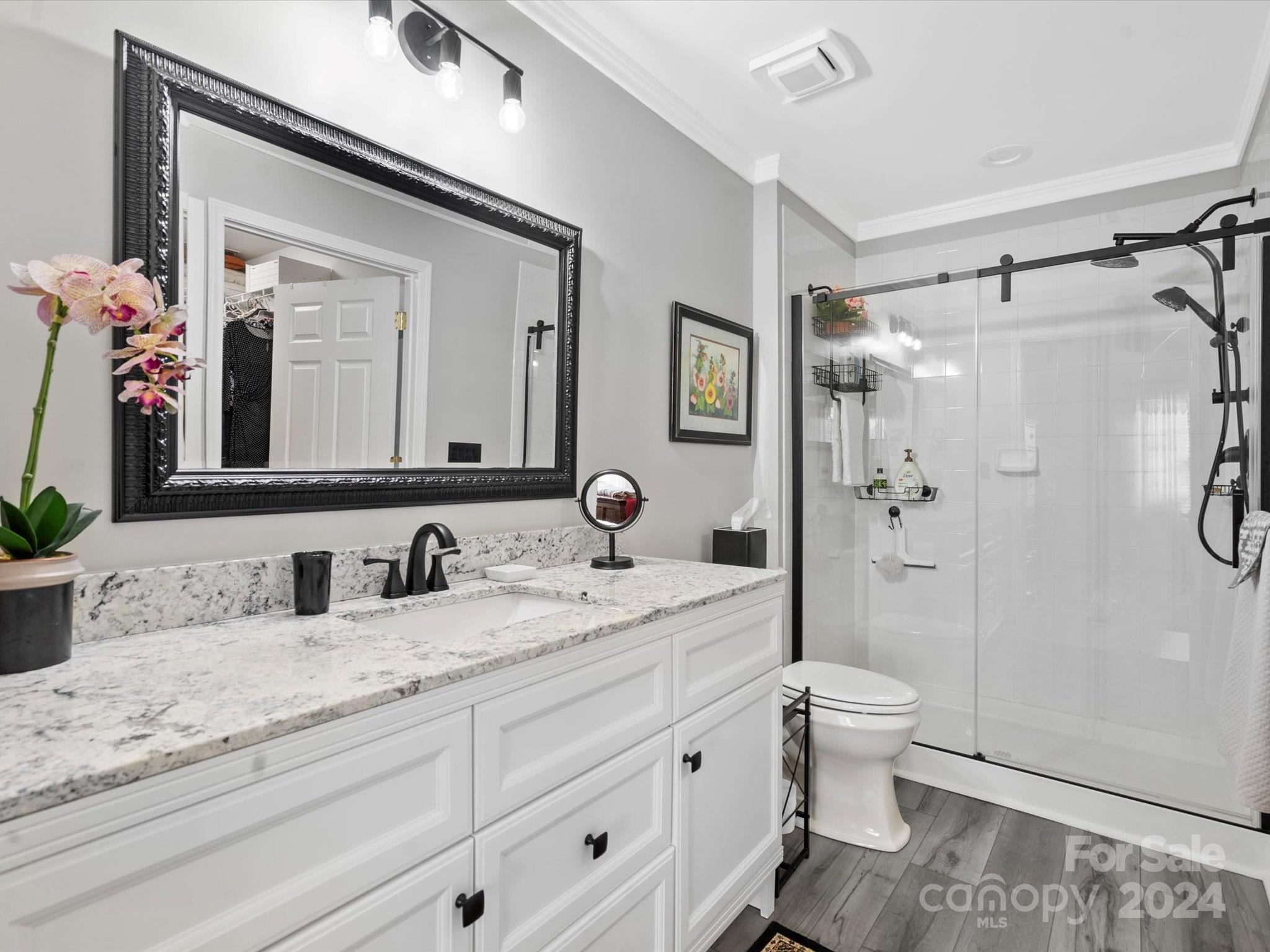 707 Ledgestone Court Fort Mill, SC 29708 - Photo 20 of 40 a bathroom with a granite countertop sink mirror toilet and shower