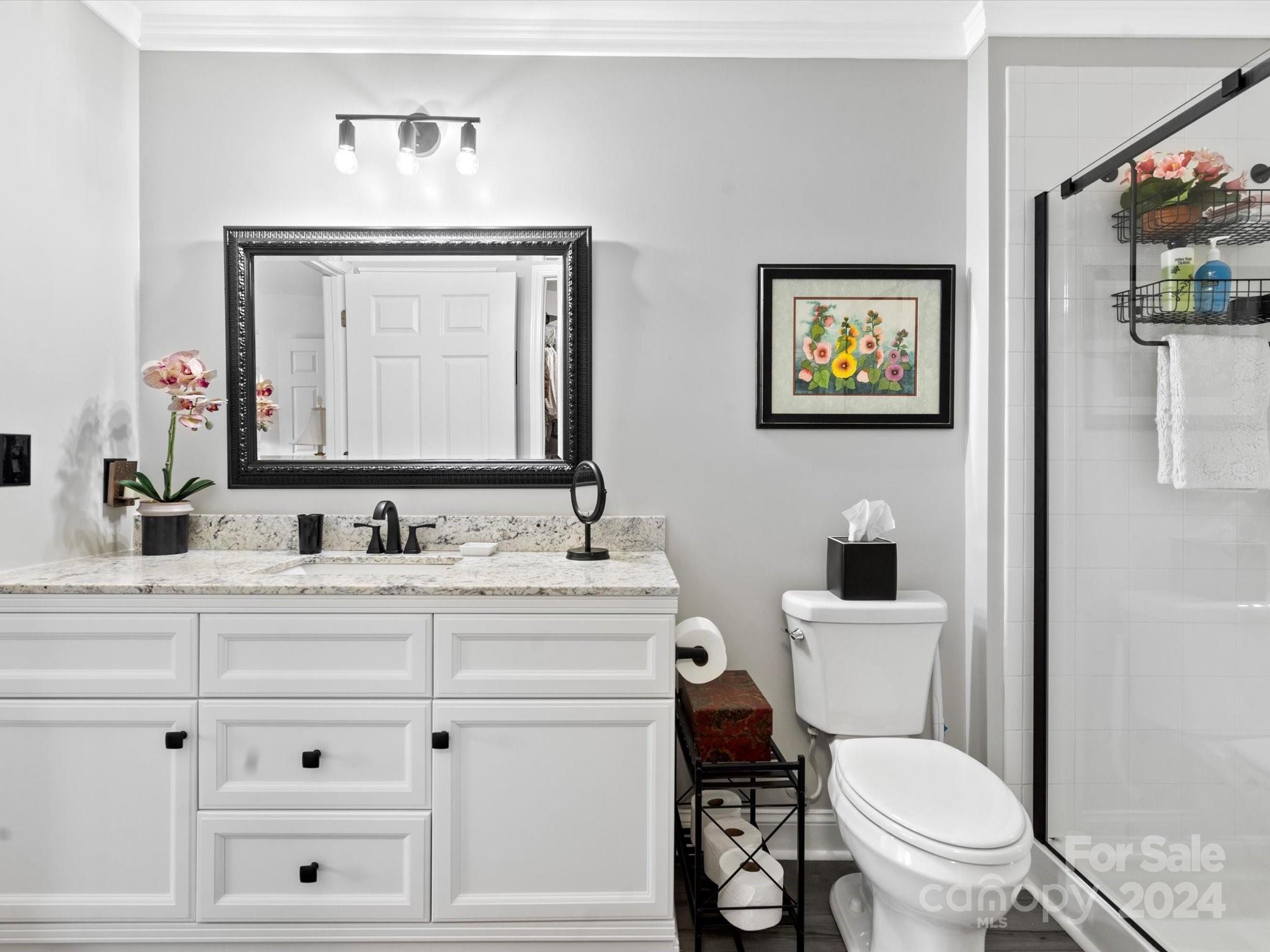 707 Ledgestone Court Fort Mill, SC 29708 - Photo 21 of 40 a bathroom with a toilet a sink and mirror