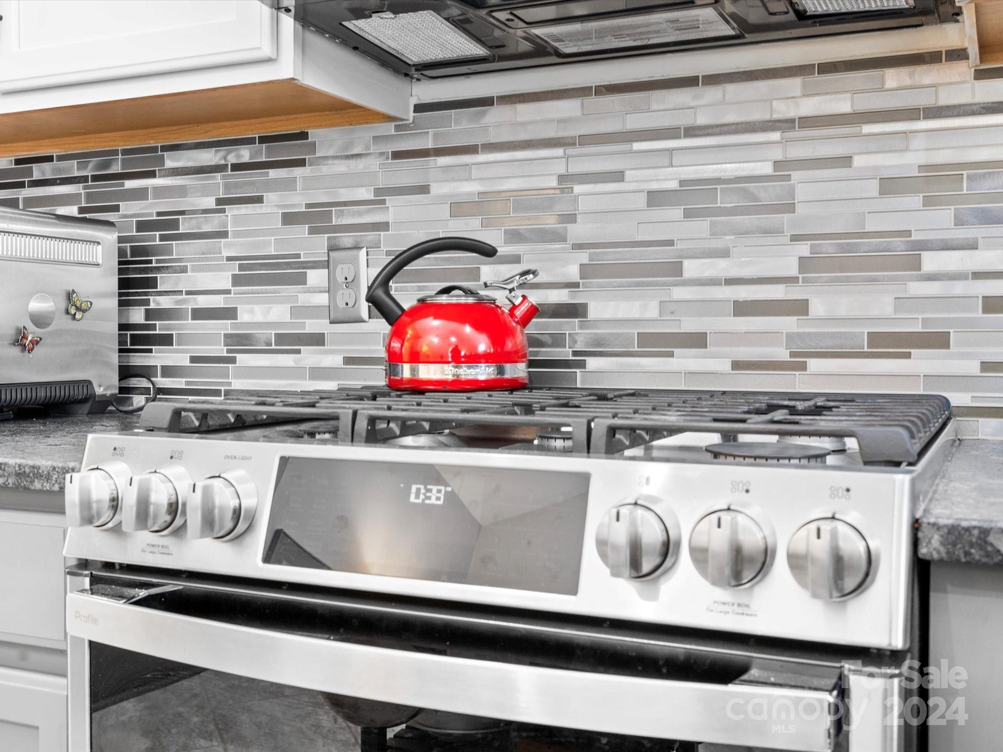 707 Ledgestone Court Fort Mill, SC 29708 - Photo 4 of 40 a close view of stove