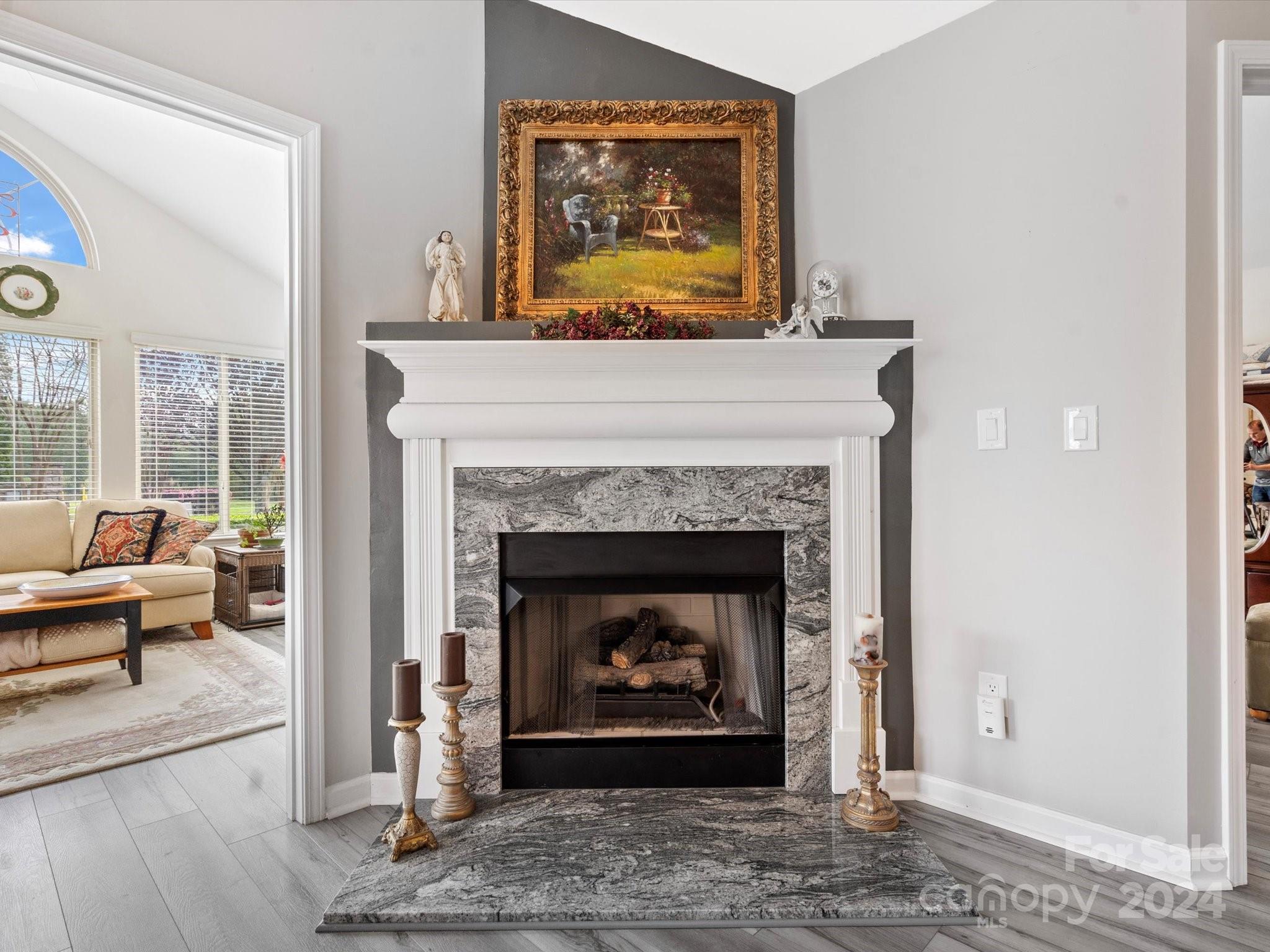 707 Ledgestone Court Fort Mill, SC 29708 - Photo 10 of 40 a living room with furniture and a fireplace
