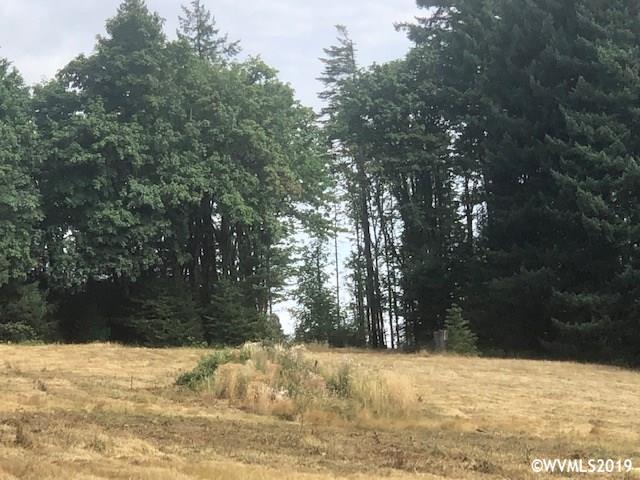 Richardson (parcel 2) Road Dallas, OR 97338 - Photo 12 of 14
