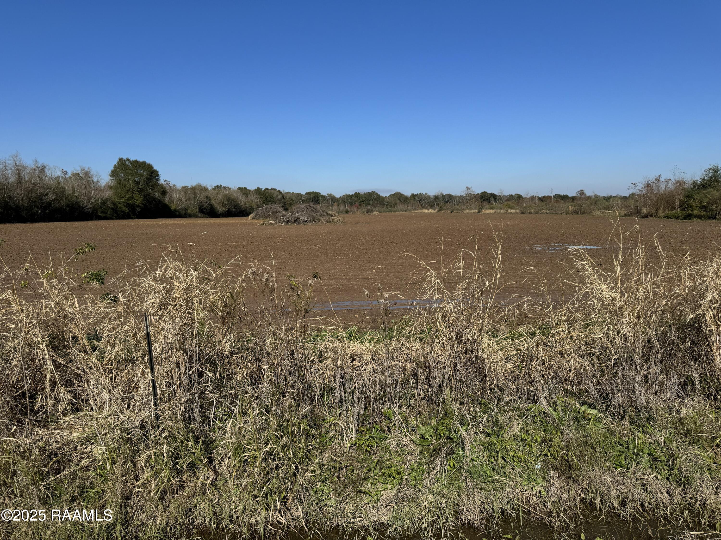 290 Cottage Lane Church Point, LA 70525 - Photo 3 of 8 IMG_0633