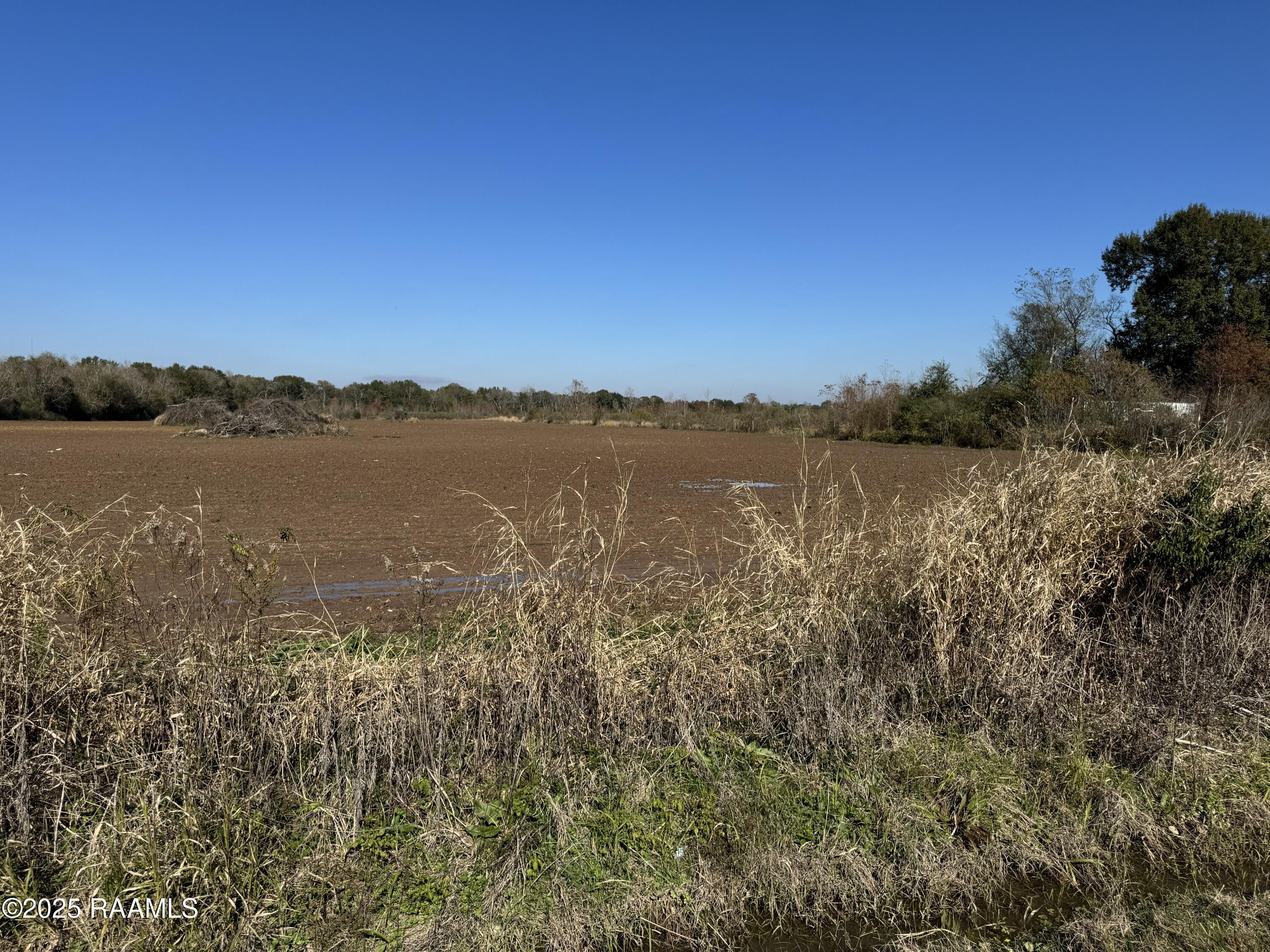 290 Cottage Lane Church Point, LA 70525 - Photo 4 of 8 IMG_0635