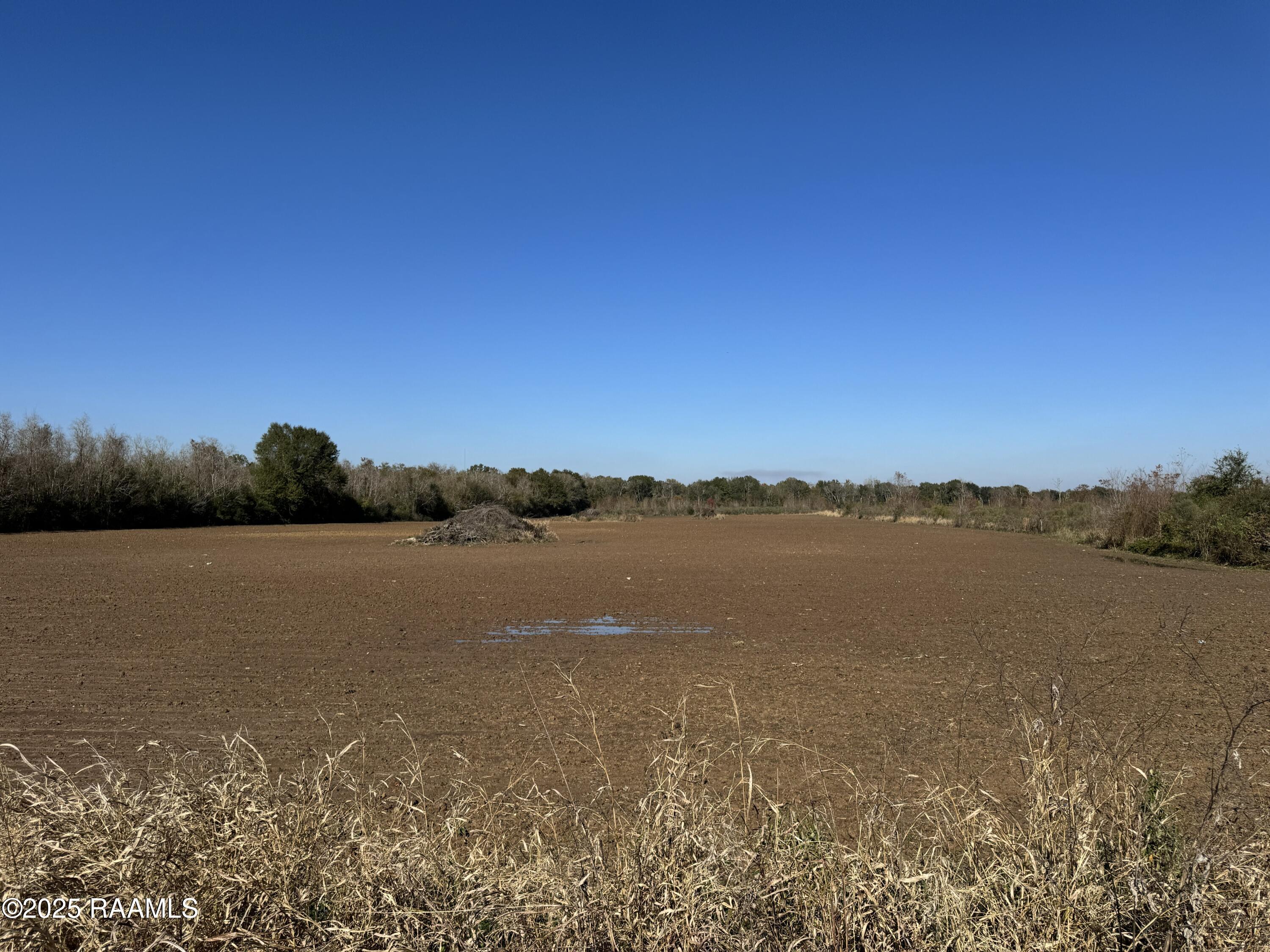 290 Cottage Lane Church Point, LA 70525 - Photo 8 of 8 IMG_0641