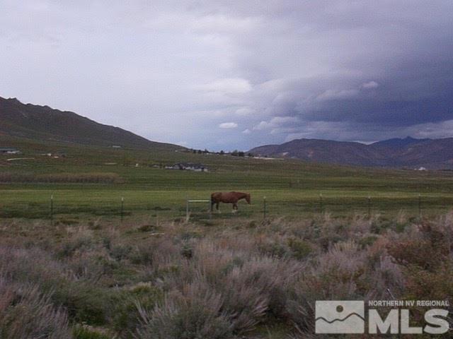 14595 Rancho Drive Reno, NV 89508 - Photo 9 of 12 Photo 9