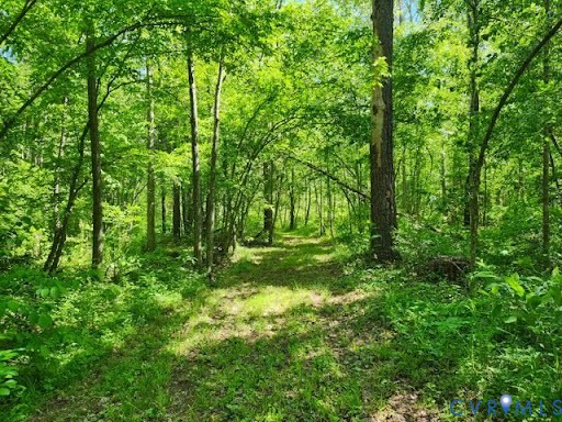0 Chellowe Road Dillwyn, VA 23936 - Photo 6 of 9