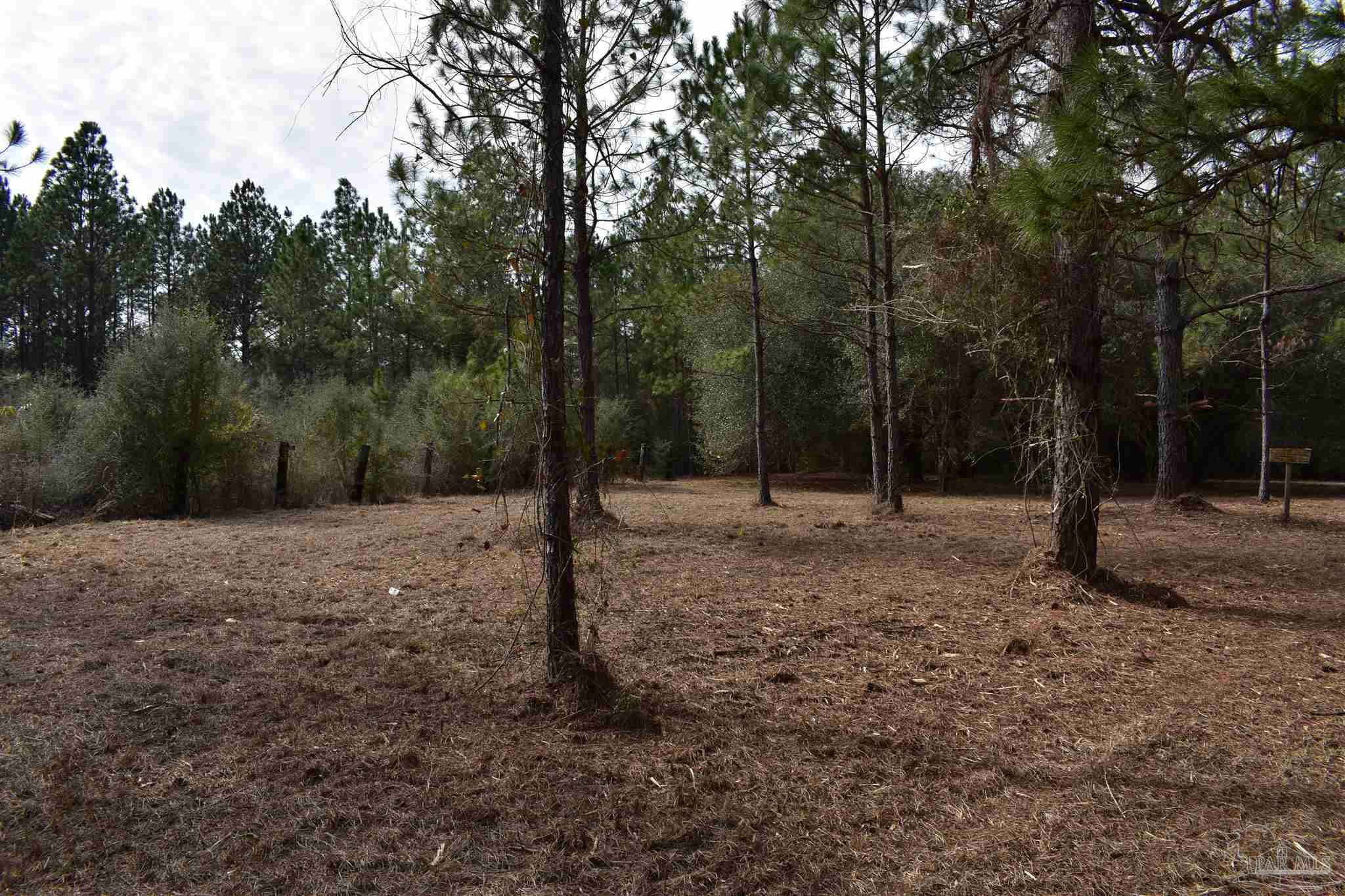 0 Pat Brown Road Milton, FL 32570 - Photo 13 of 30