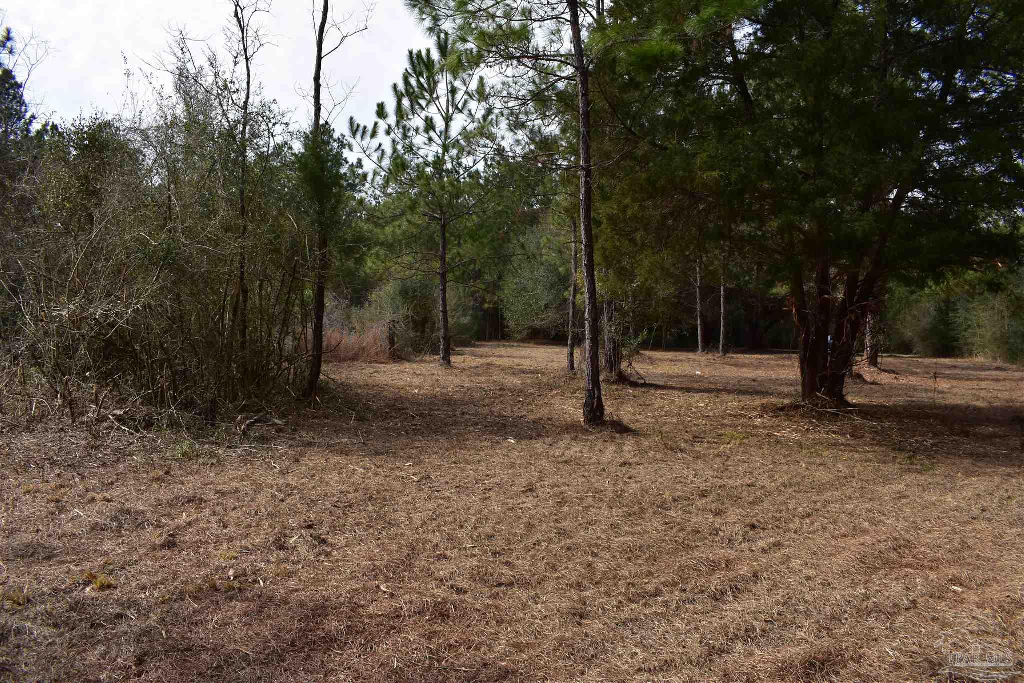 0 Pat Brown Road Milton, FL 32570 - Photo 14 of 30