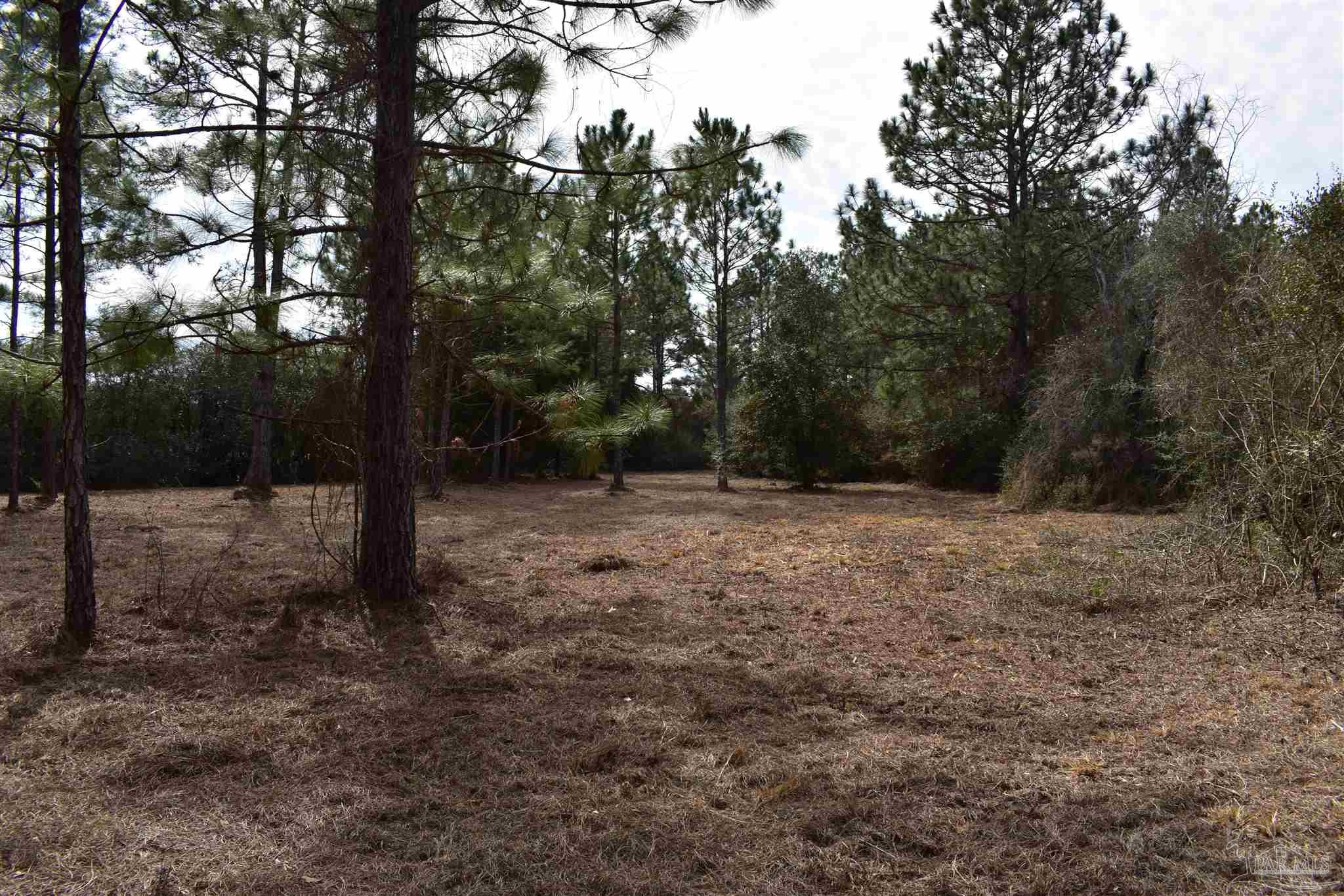 0 Pat Brown Road Milton, FL 32570 - Photo 15 of 30