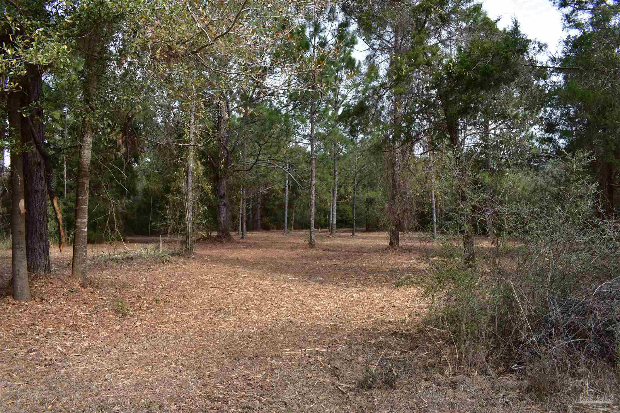 0 Pat Brown Road Milton, FL 32570 - Photo 17 of 30