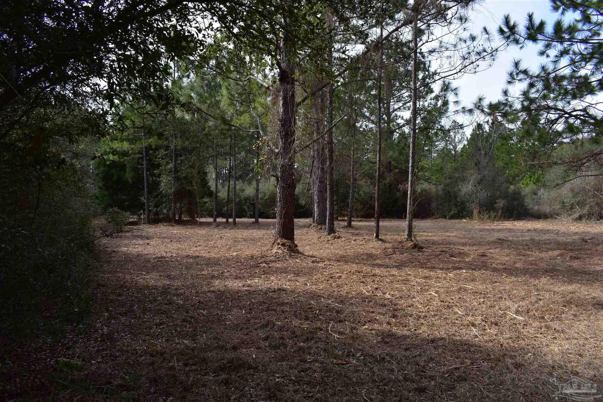 0 Pat Brown Road Milton, FL 32570 - Photo 19 of 30