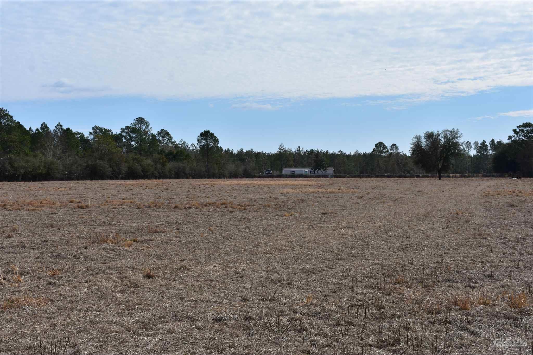 0 Pat Brown Road Milton, FL 32570 - Photo 21 of 30