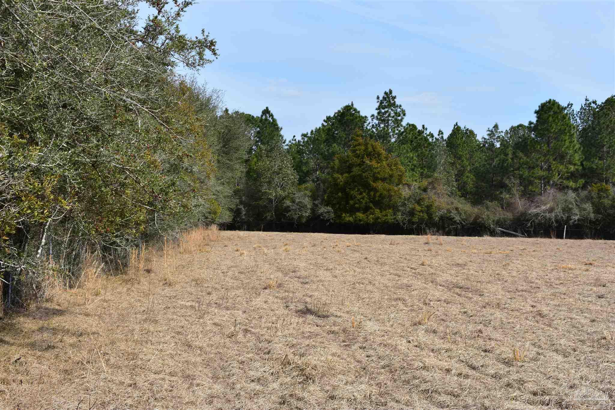 0 Pat Brown Road Milton, FL 32570 - Photo 24 of 30