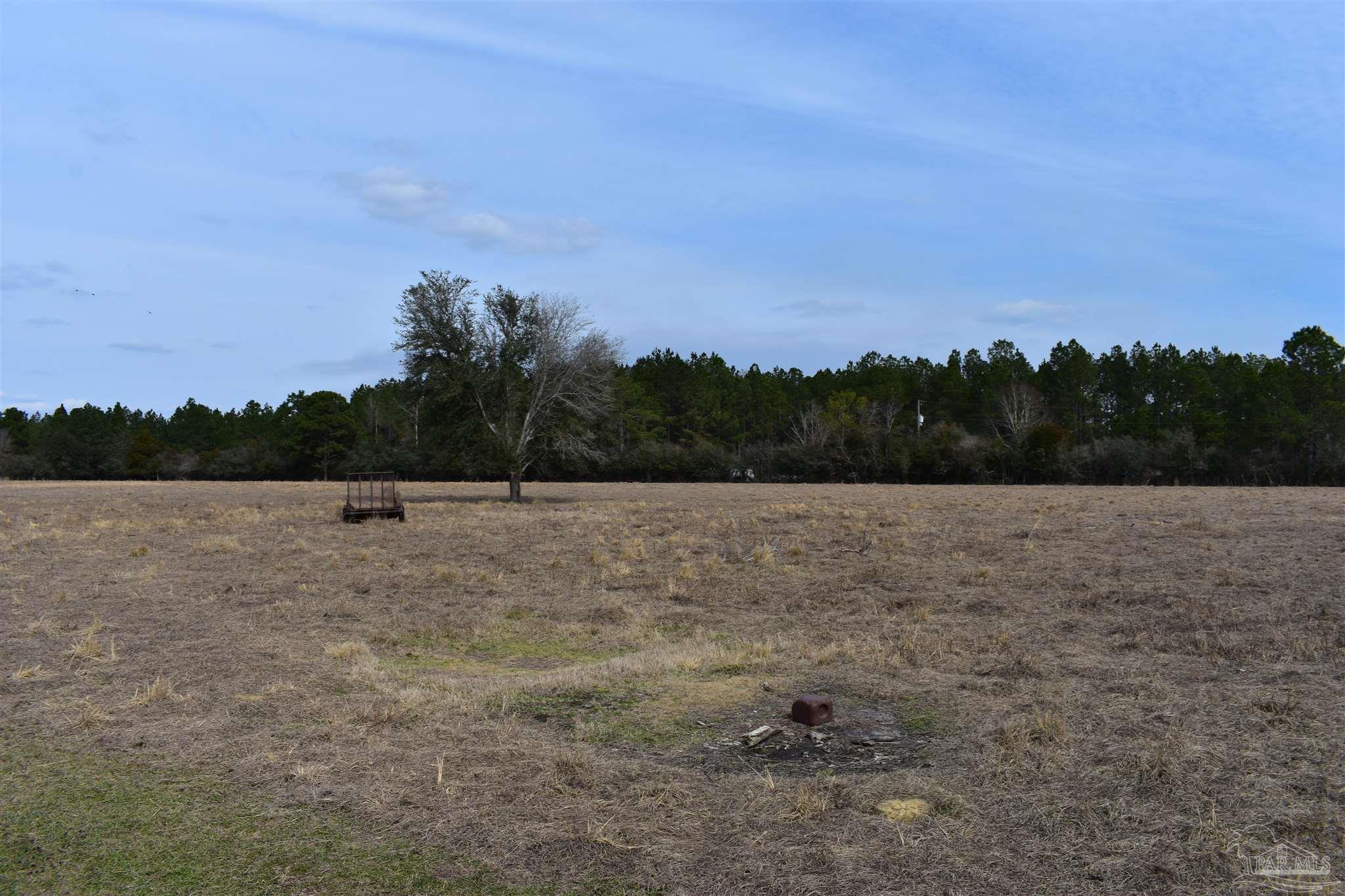 0 Pat Brown Road Milton, FL 32570 - Photo 26 of 30