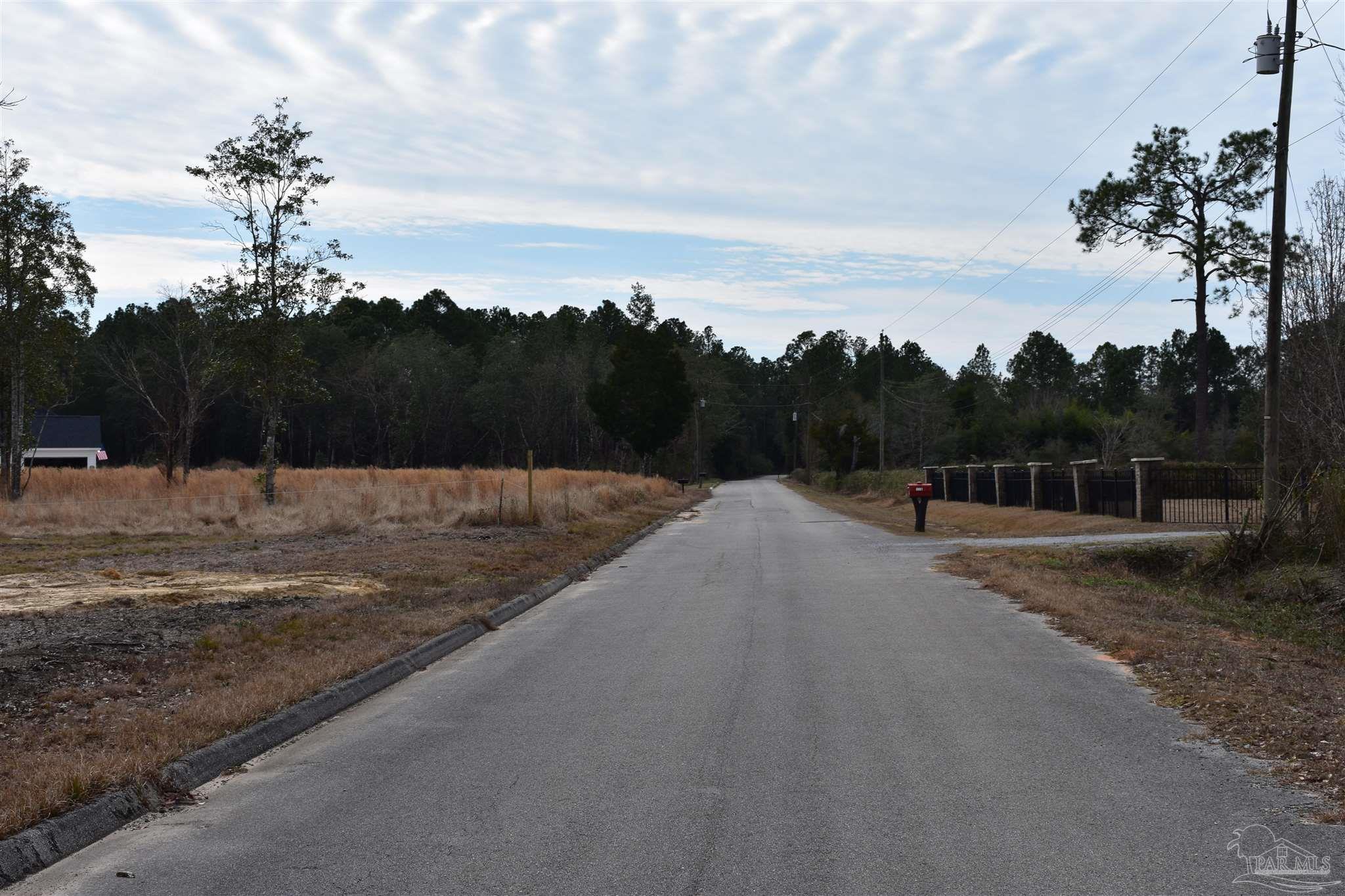 0 Pat Brown Road Milton, FL 32570 - Photo 27 of 30